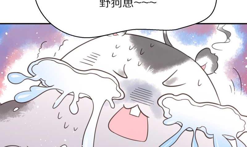 毛球星传说 第16集39