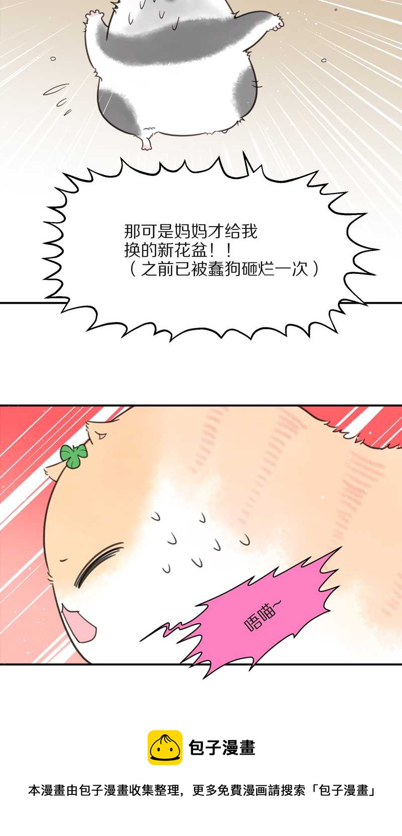 毛球星传说 第16集4