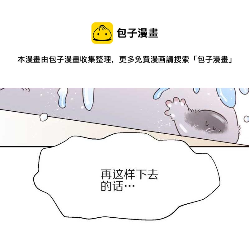 毛球星传说 第16集40