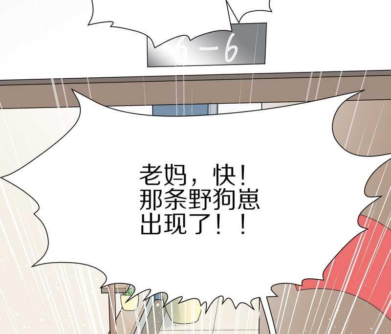 毛球星传说 第16集43