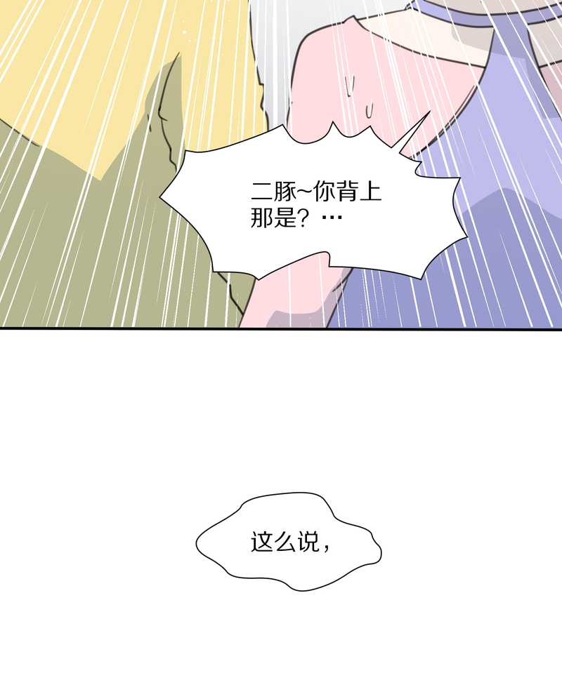 毛球星传说 第16集46