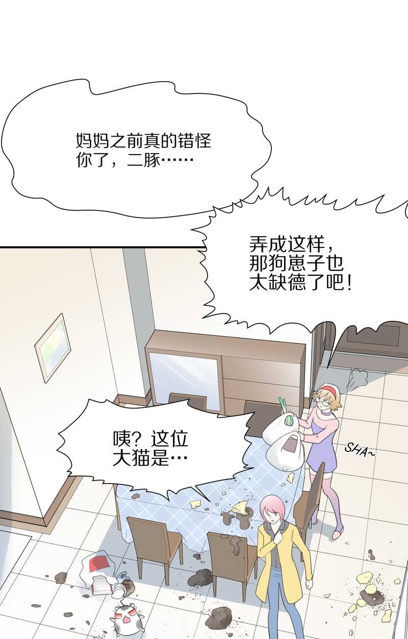 毛球星传说 第16集47