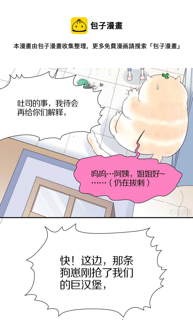 毛球星传说 第16集52