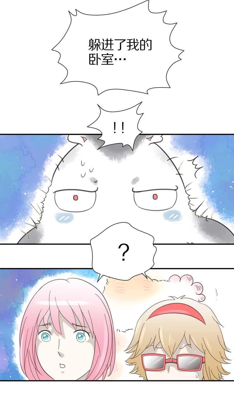毛球星传说 第16集53