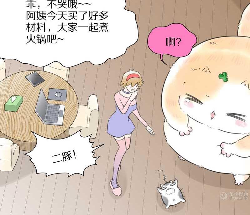 毛球星传说 第16集59