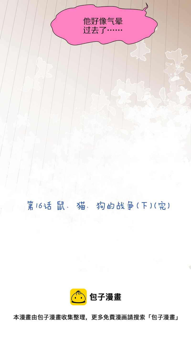 毛球星传说 第16集60