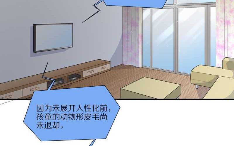 毛球星传说 第29集10