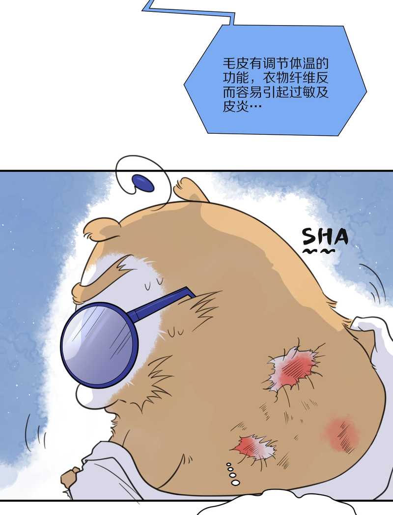 毛球星传说 第29集11