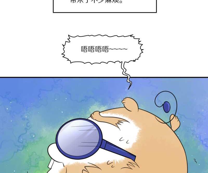 毛球星传说 第29集14