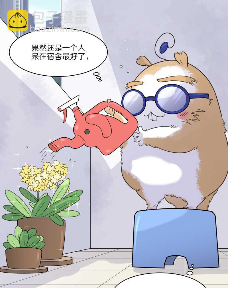 毛球星传说 第29集17