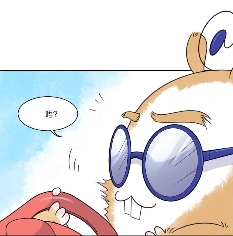 毛球星传说 第29集19