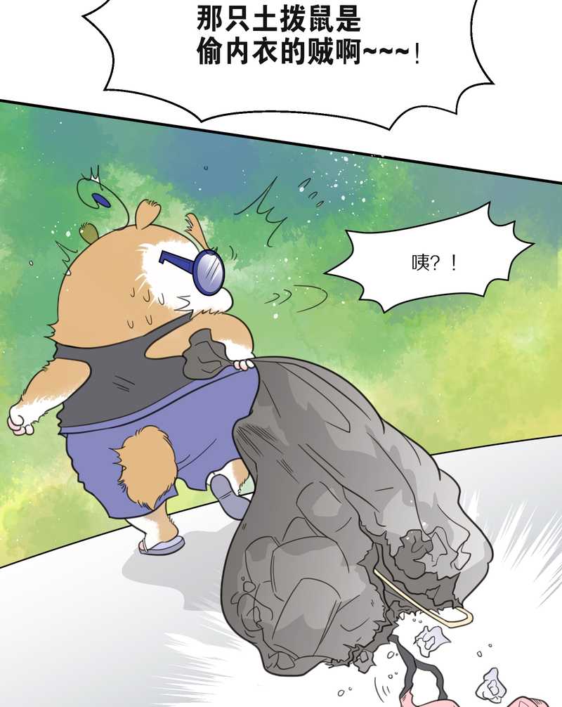 毛球星传说 第29集27