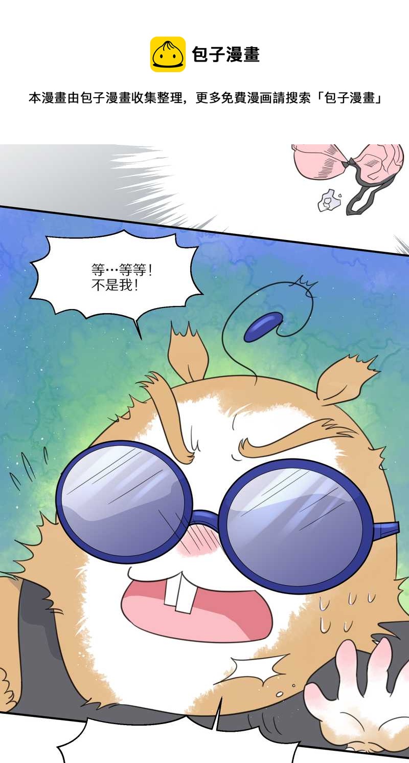 毛球星传说 第29集28
