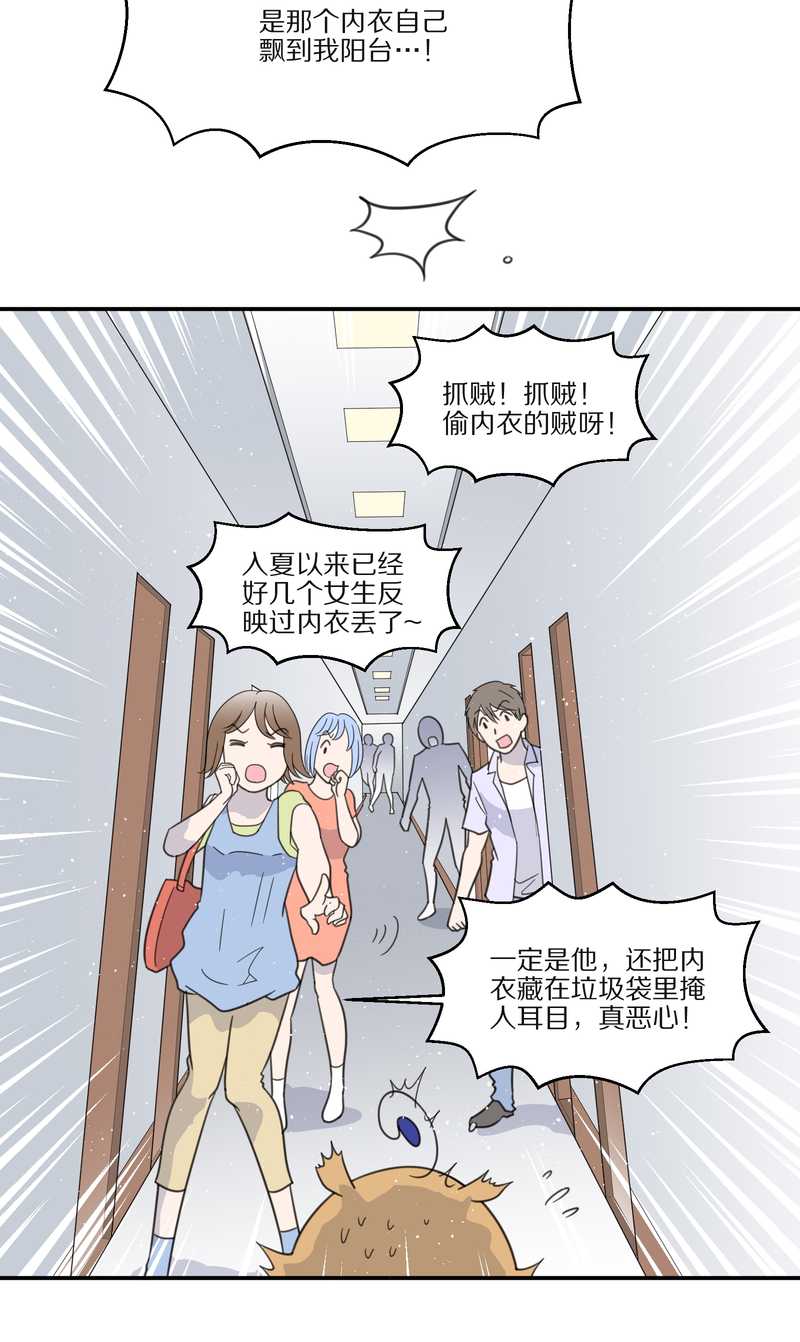 毛球星传说 第29集29