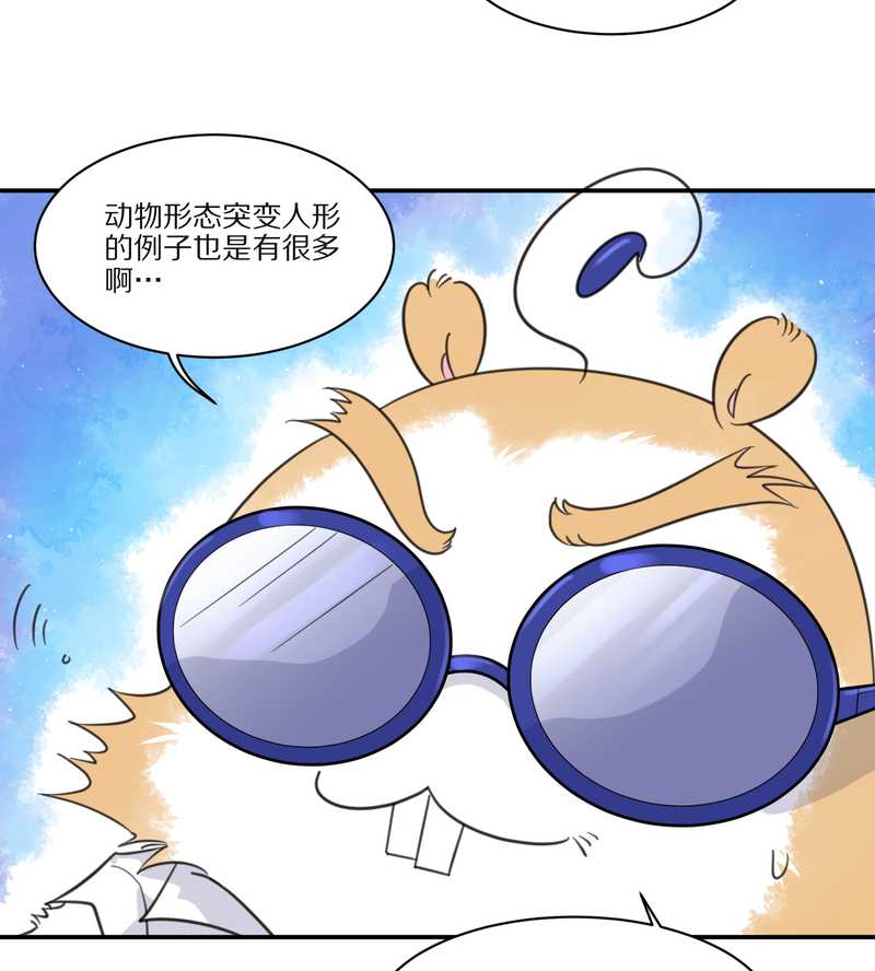 毛球星传说 第29集3