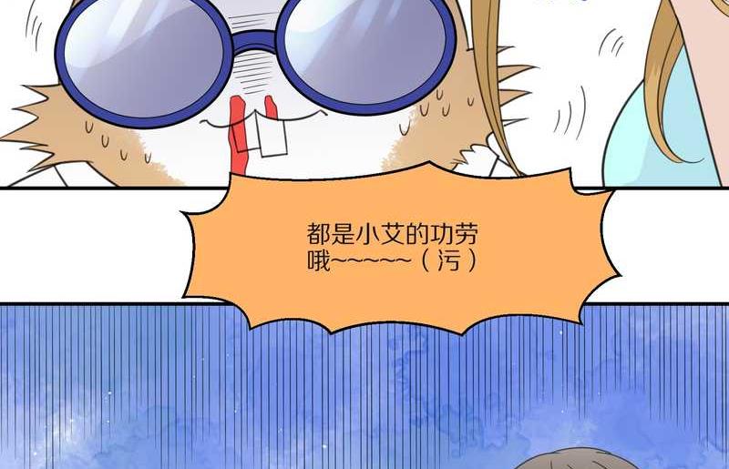 毛球星传说 第29集43
