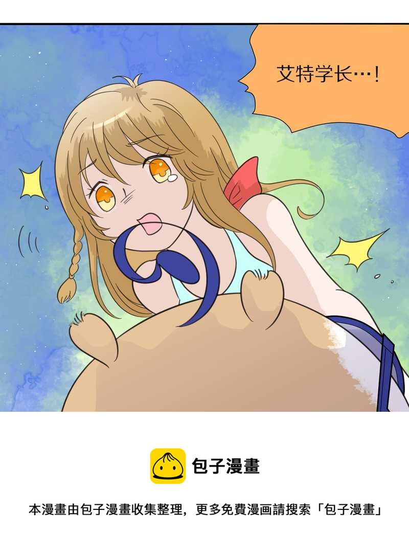 毛球星传说 第29集48