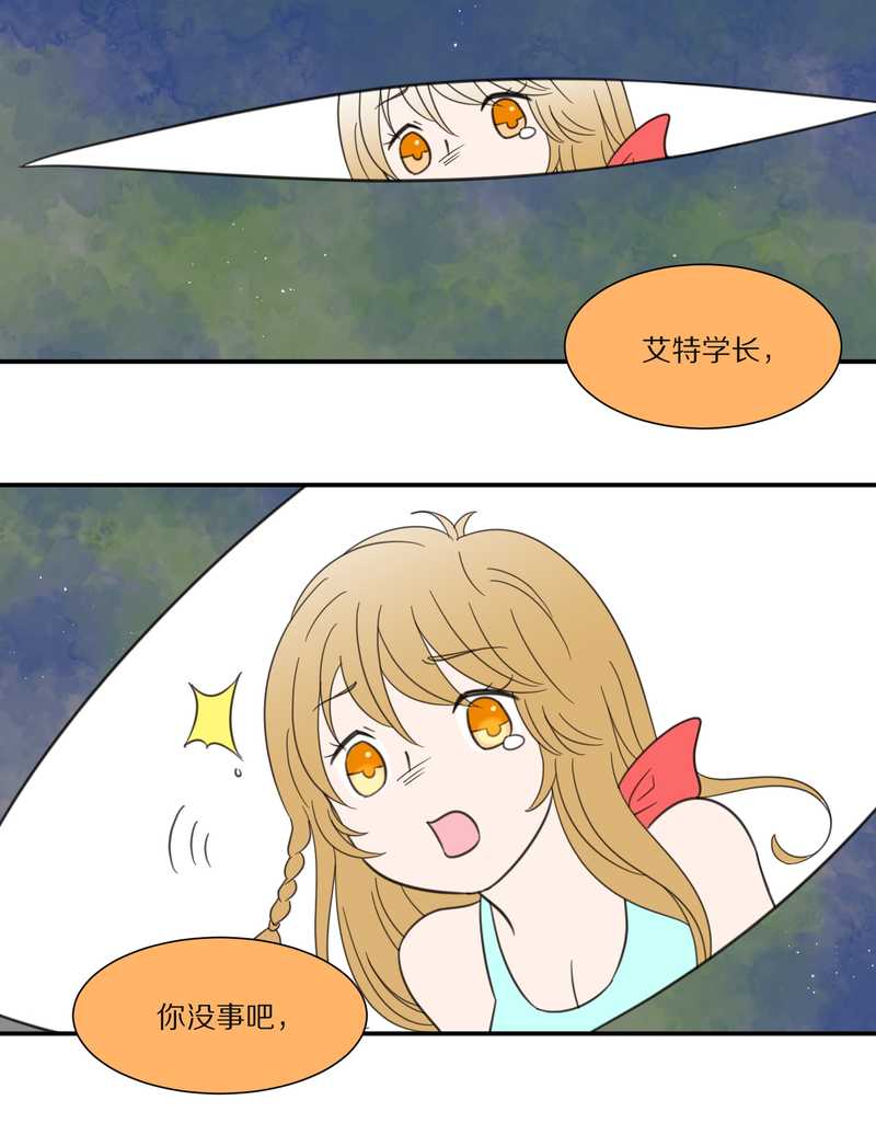 毛球星传说 第29集51