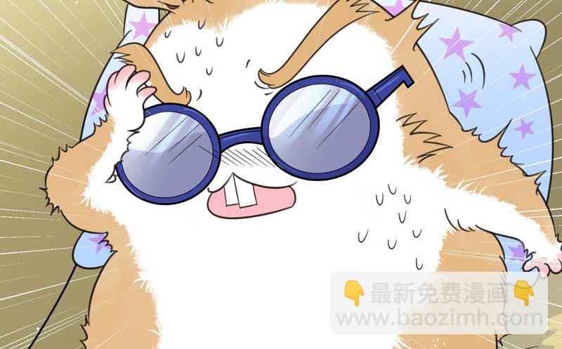 毛球星传说 第29集55