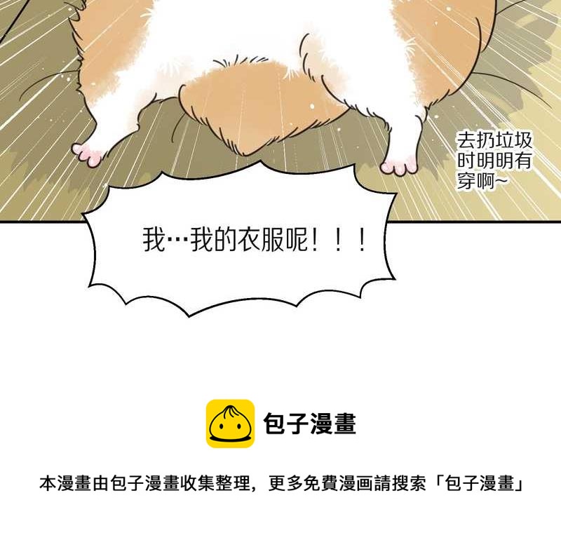 毛球星传说 第29集56