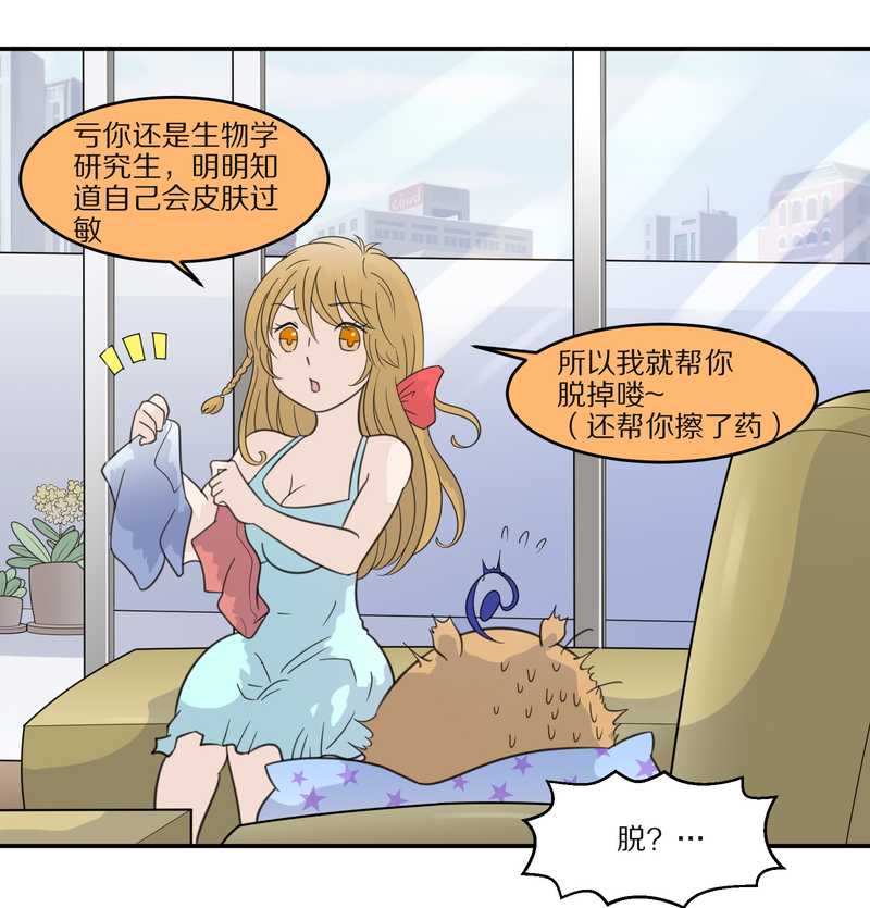 毛球星传说 第29集57
