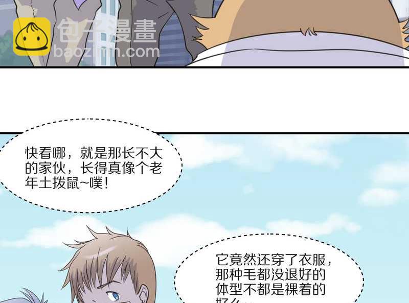 毛球星传说 第29集6