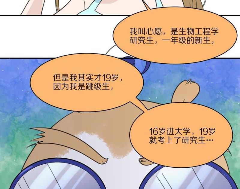 毛球星传说 第29集62