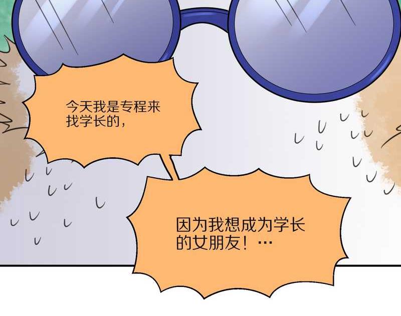 毛球星传说 第29集63