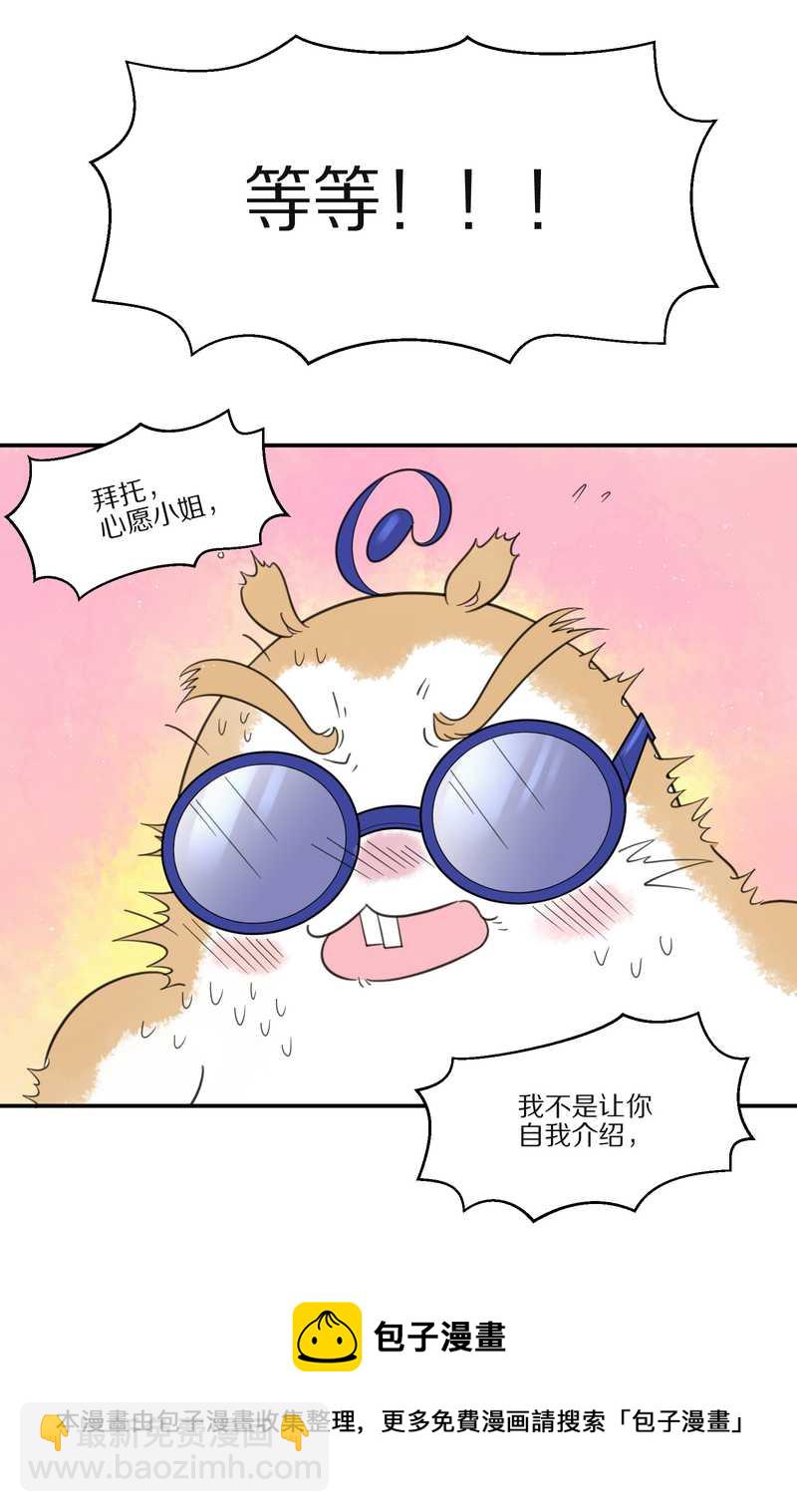 毛球星传说 第29集64