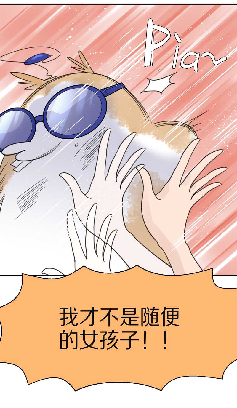 毛球星传说 第29集67