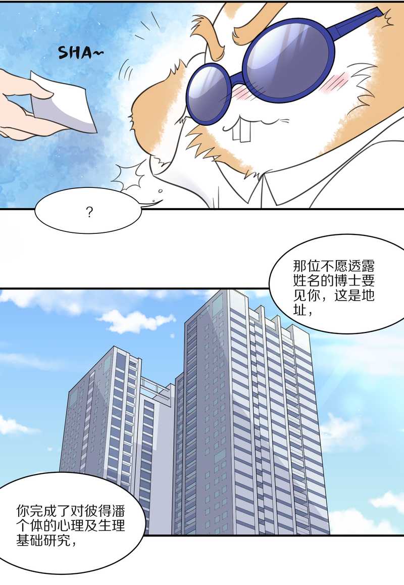 毛球星传说 第29集75