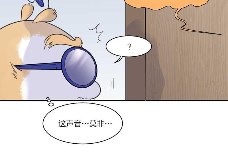 毛球星传说 第29集78