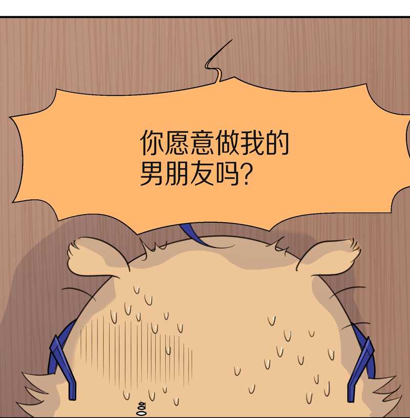 毛球星传说 第29集79