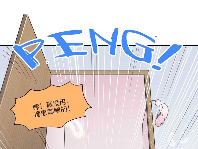 毛球星传说 第29集81