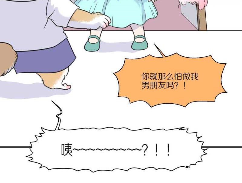 毛球星传说 第29集83