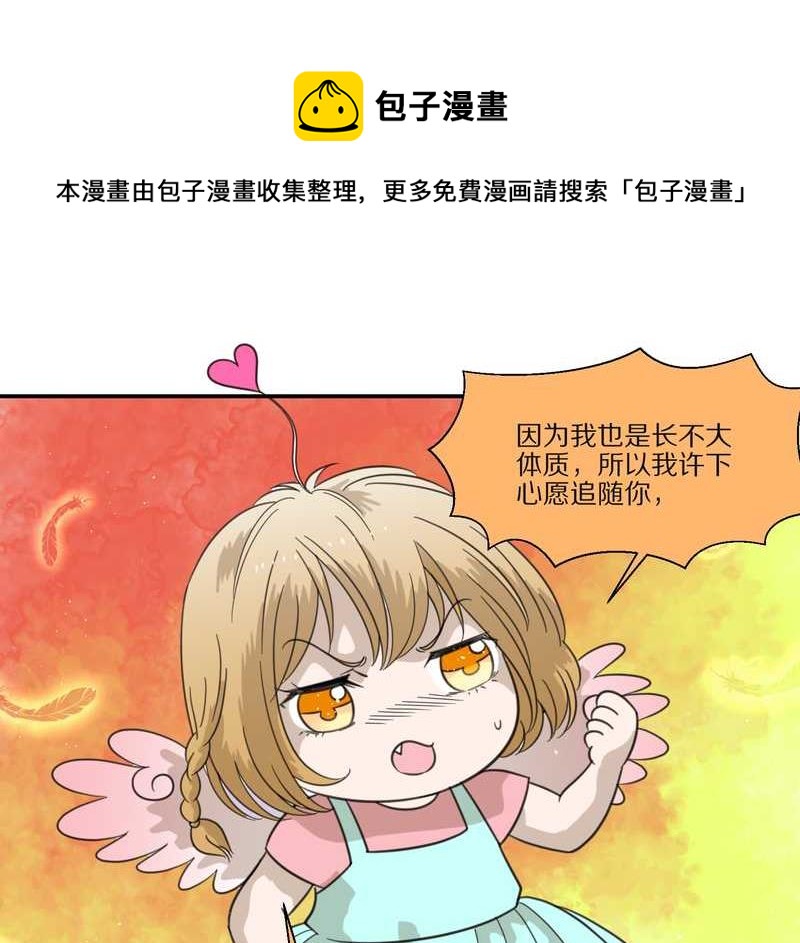 毛球星传说 第29集92