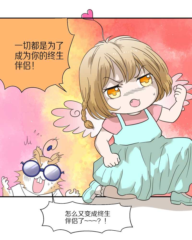 毛球星传说 第29集94