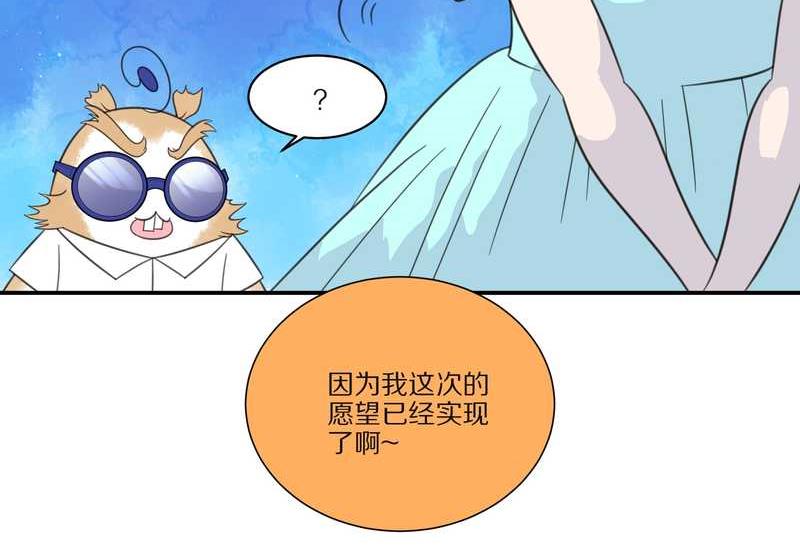 毛球星传说 第29集97