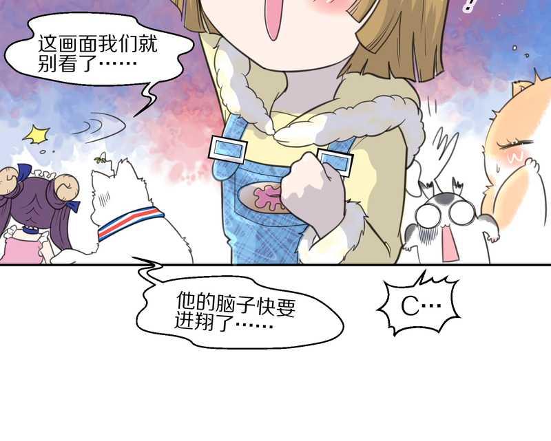 毛球星传说 第39集10