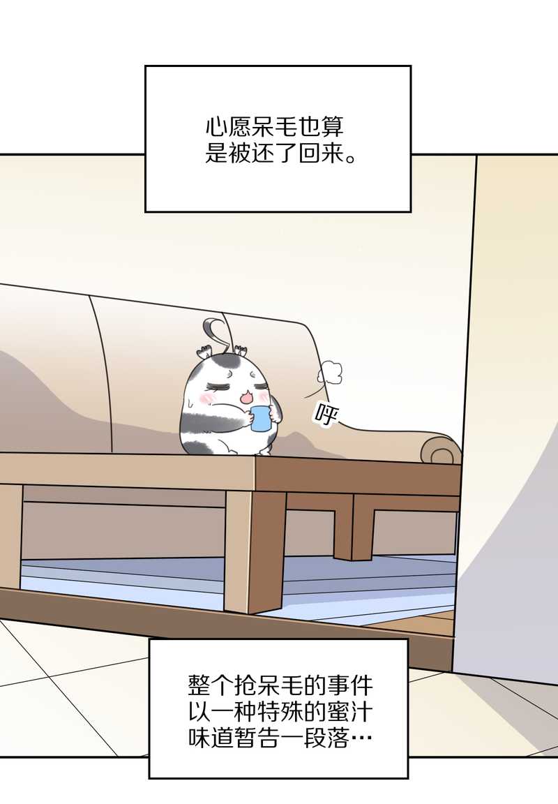 毛球星传说 第39集13