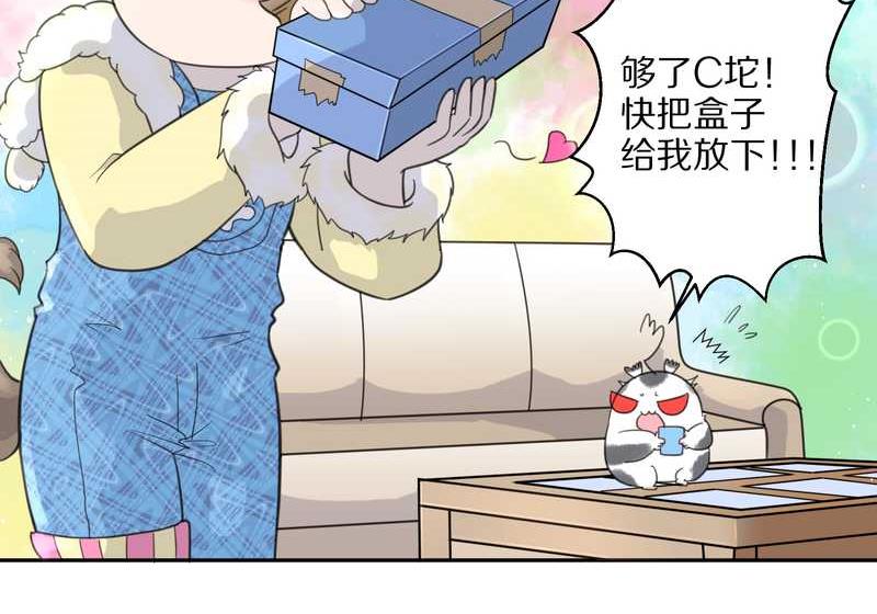毛球星传说 第39集17
