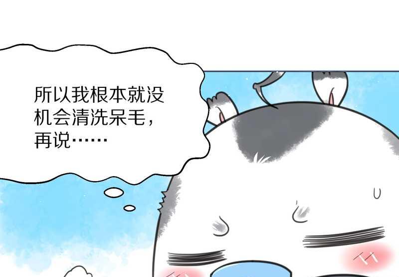 毛球星传说 第39集25