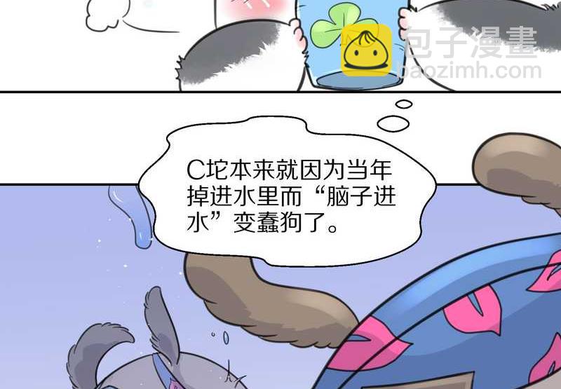 毛球星传说 第39集26