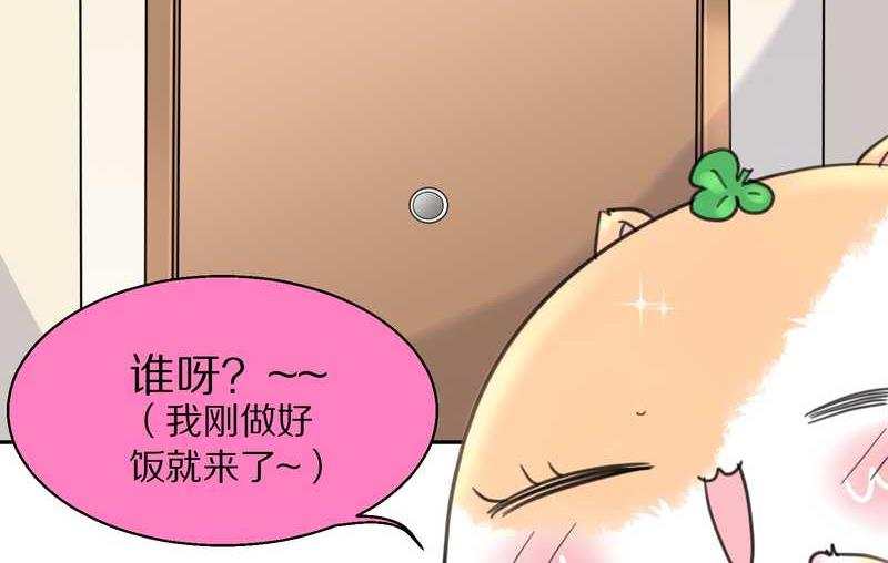 毛球星传说 第39集31