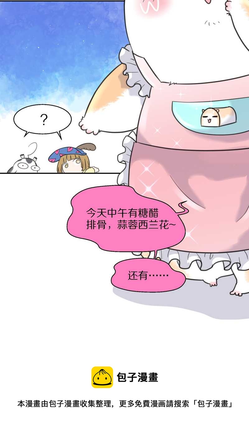 毛球星传说 第39集32