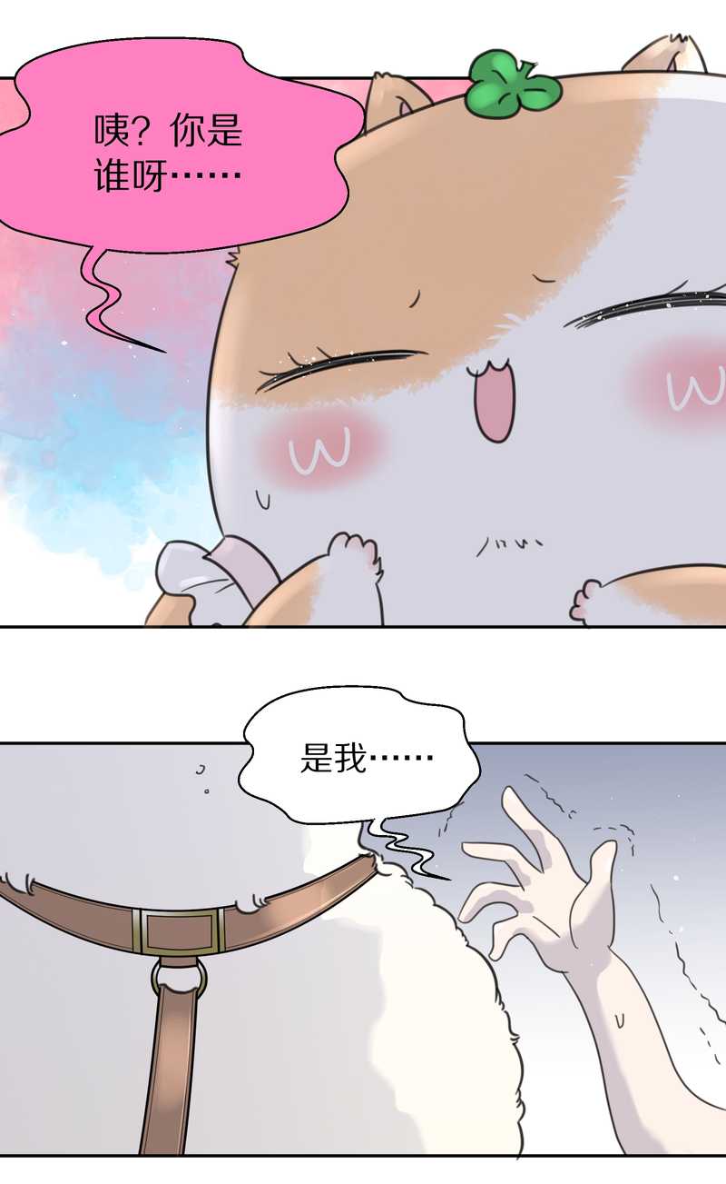 毛球星传说 第39集34