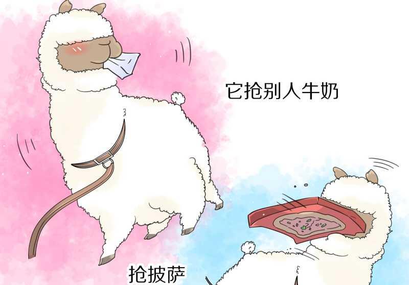 毛球星传说 第39集37