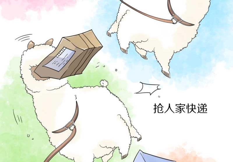 毛球星传说 第39集38