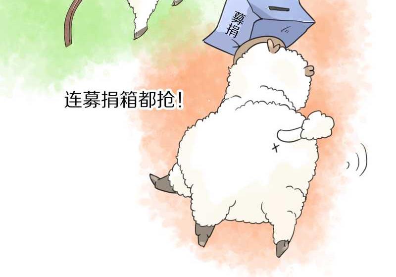 毛球星传说 第39集39