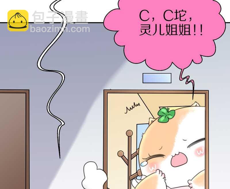 毛球星传说 第39集45
